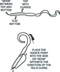 Probass Networks: Texas Rigged Worm